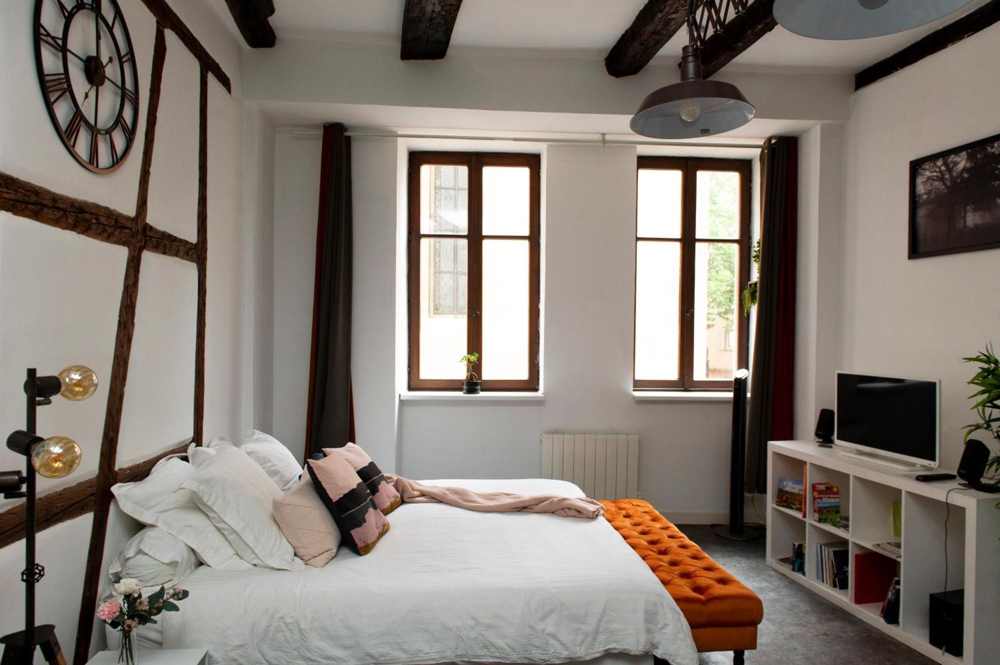 Gite See You Soon - Le Loft Colmar Extérieur photo